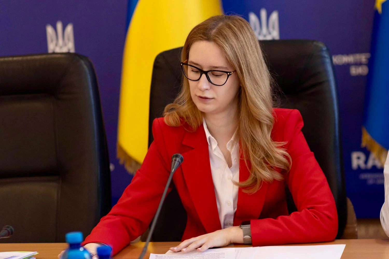 Третина оборонного бюджету України 2026 року буде спрямована на закупівлю зброї – Підласа