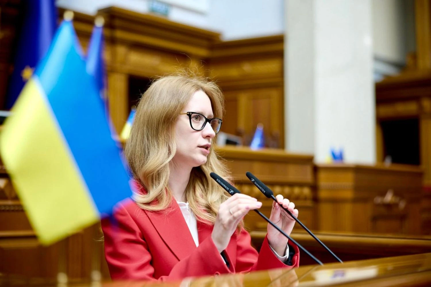 Україна має отримати дозвіл партнерів використовувати їхні гроші для оборони – голова бюджетного комітету