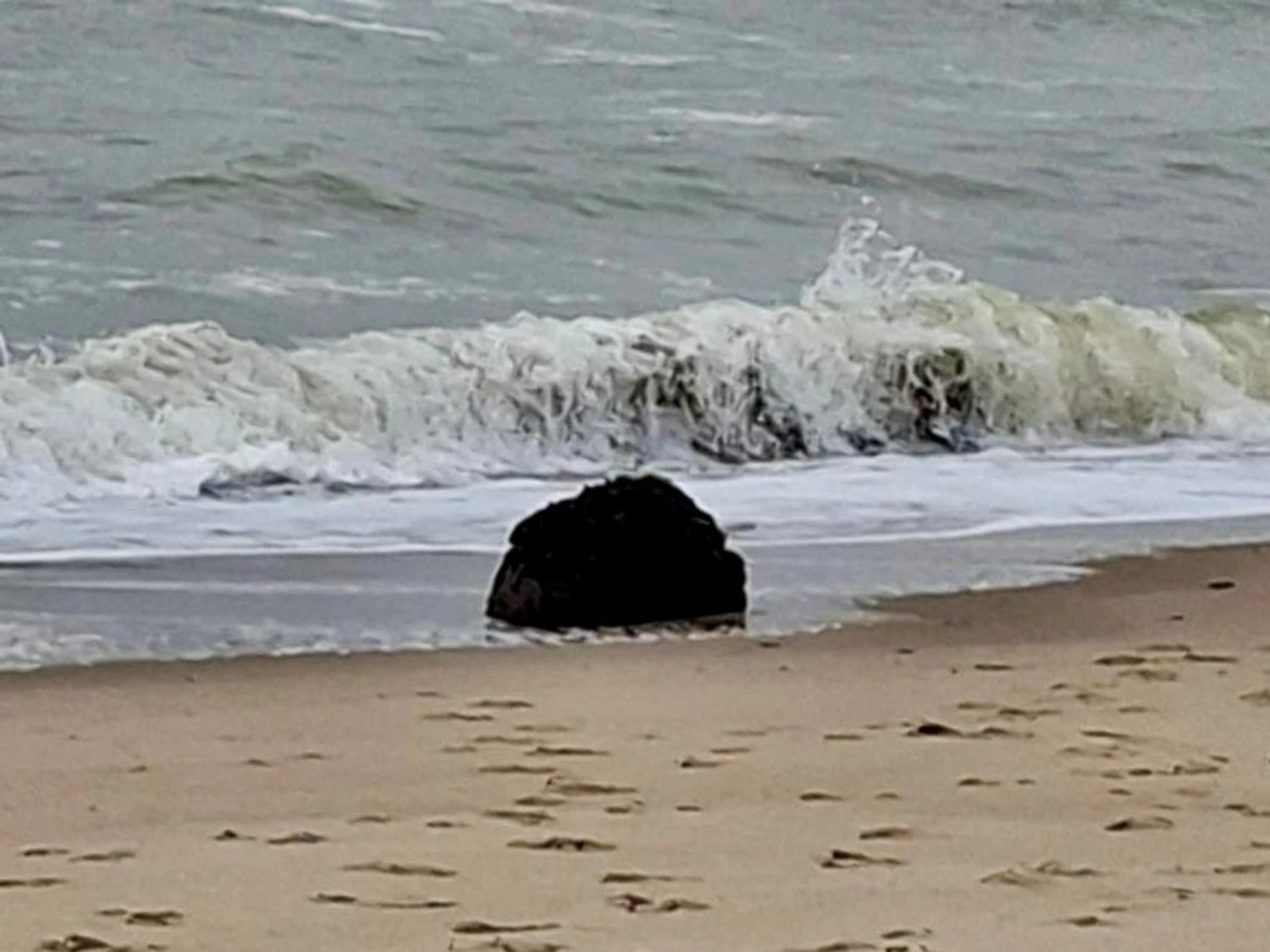 Шторм виніс морську міну на узбережжя Одещини