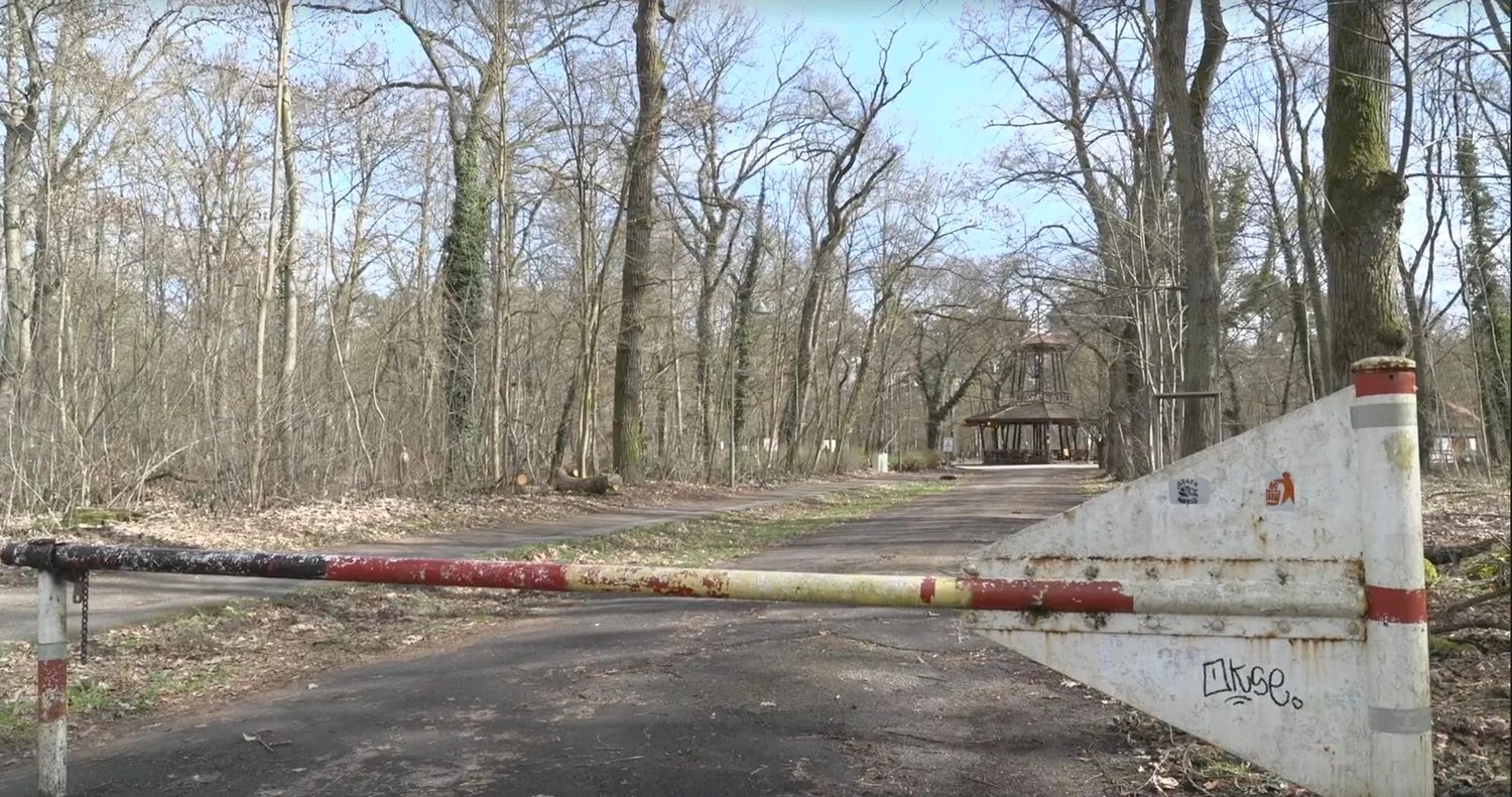 У лісі в Німеччині знайшли тіло 19-річної українки – ЗМІ