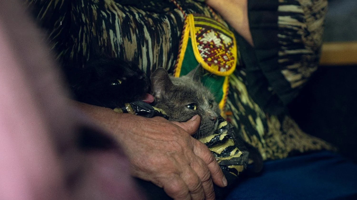 Пункти евакуації ВПО отримають компенсацію за комуналку – рішення уряду