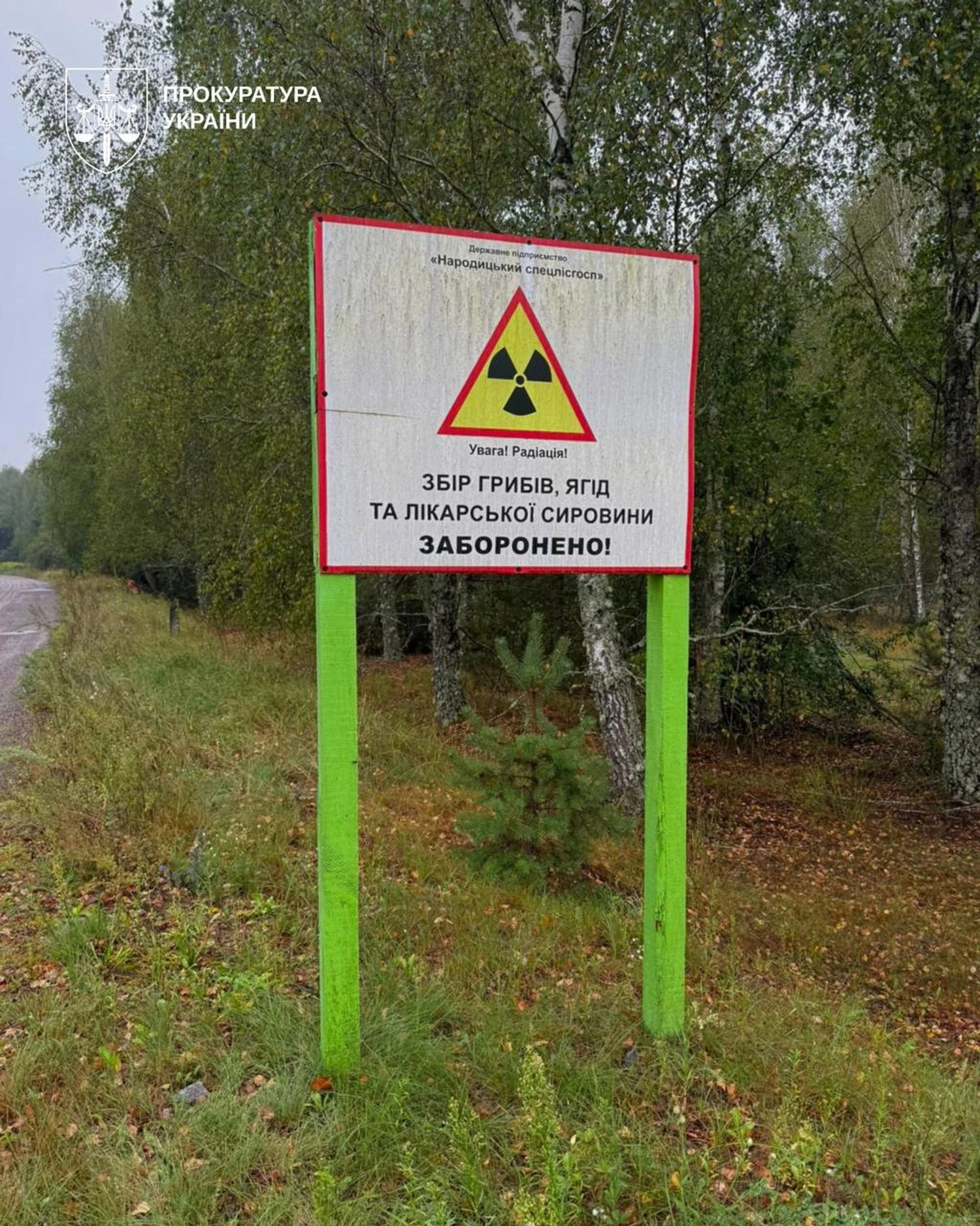 Бізнес на радіоактивній землі у Чорнобильській зоні – справу скерували до судуПосадовці незаконно засіяли 1,9 тисячі гектарів у зоні відселення та продали врожай. Державі завдано збитків на мільйони гривень
через порушення режиму.Суспільство • 14:36 • 1138 перегляди